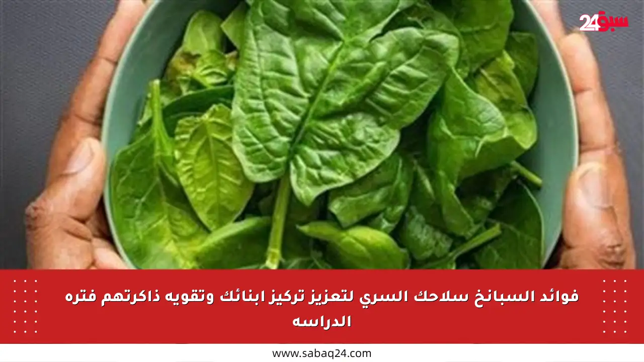فوائد السبانخ سلاحك السري لتعزيز تركيز أبنائك وتقوية ذاكرتهم فترة الدراسة